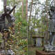 Illustration for article titled A Creepy Tour of Russia's Decrepit Abandoned Summer Camps